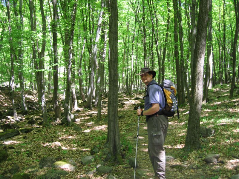 2009-04-25 Kekes (05) Trail went through woods